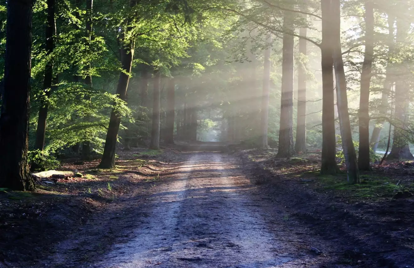 mini-vision-quest_1607437507 -  - BACK ON TRACK