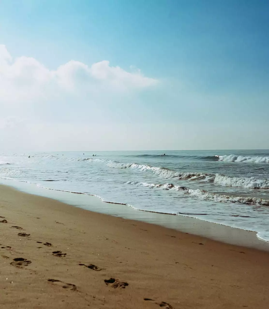 home_1538648731 -  - BACK ON TRACK